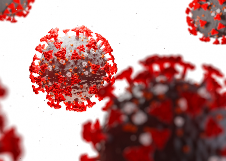 Coronavirus covid 19 750x536