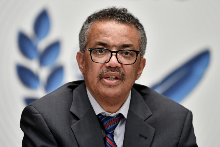 OMS dice avanzan preparativos de ensayos de vacunas contra virus de marburgo
