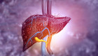¿Podría el hígado ser la clave para mejores tratamientos contra el cáncer?