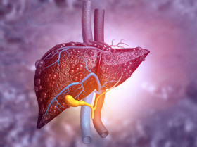 ¿Podría el hígado ser la clave para mejores tratamientos contra el cáncer?