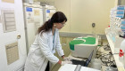 Las bacterias modifican sus ribosomas para esquivar a los antibióticos