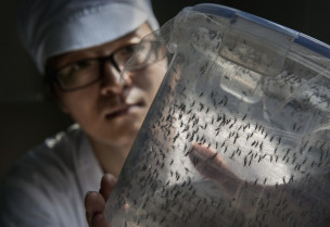 Virólogo advierte alta incidencia de virus respiratorios podría prolongarse