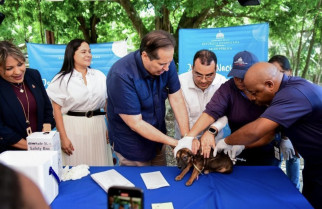 Ministerio de Salud inicia Jornada Nacional de Vacunación antirrábica para caninos y felinos