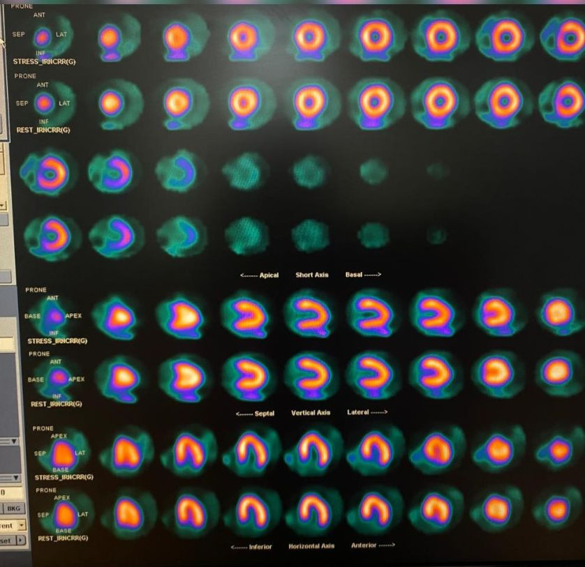 WhatsApp Image 2025 11 13 at 2.01.27 PM (2)