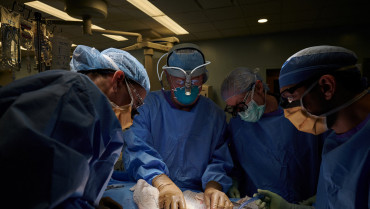 Reparar corazones dañados con celulas madres, la nueva ambición de Mayo Clinic