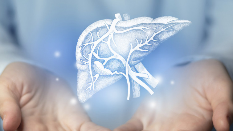 Cuál es el mineral clave para combatir el hígado graso y cómo consumirlo para reducir el porcentaje de grasa en el órgano