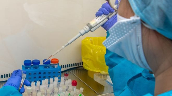 Informe de la OMS alerta sobre exclusión de países y poblaciones en estudios genómicos