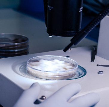 Zamora guarda silencio por las víctimas del atentado de Barcelona 