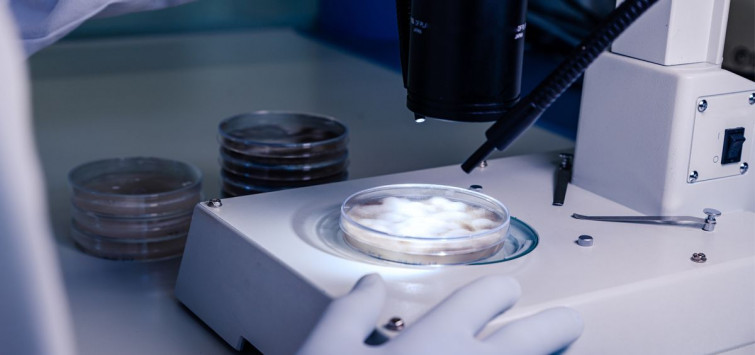 Un nuevo algoritmo genómico detecta más pacientes aptos para inhibidores en cáncer