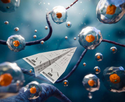 Nueva herramienta para medir la actividad de los editores celulares que alimentan el cáncer