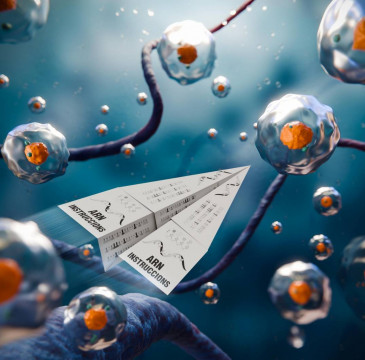 Zamora guarda silencio por las víctimas del atentado de Barcelona 