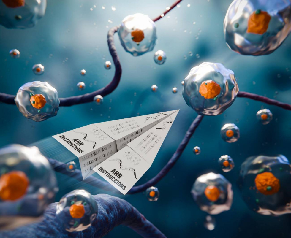 Nueva herramienta para medir la actividad de los editores celulares que alimentan el cáncer