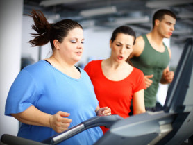 Las pitones poseen un compuesto supresor del hambre que podría ser clave para la pérdida de peso