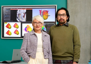Logran un 100% de éxito contra las arritmias con un 'gemelo digital' del corazón