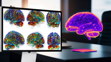 La luz infrarroja, posible aliada para proteger el cerebro frente a golpes repetidos en deportistas