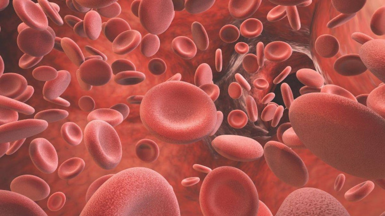 Un hallazgo en plaquetas redefine su papel en la inflamación grave y coagulación