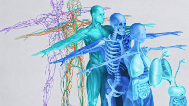 Una nueva técnica de imagen 3D promete superar las limitaciones de la resonancia, el TAC y la ecografía