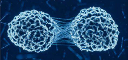 Un nanomaterial activa dos reacciones químicas y logra eliminar tumores sin dañar tejido sano