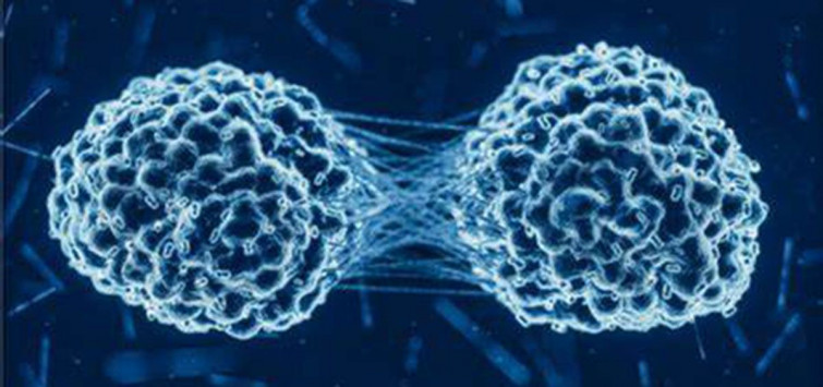 Un nanomaterial activa dos reacciones químicas y logra eliminar tumores sin dañar tejido sano