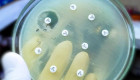 Brecha en la armadura bacteriana: El avance que permite a los antibióticos volver a ser letales