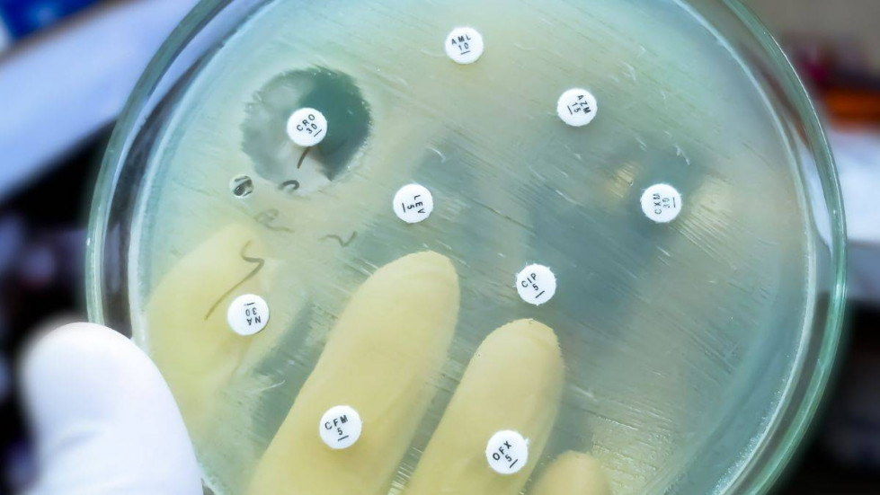 Brecha en la armadura bacteriana: El avance que permite a los antibióticos volver a ser letales