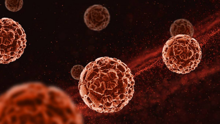 Investigadores israelíes desarrollan una nueva estrategia que detecta mejor las células cancerosas agresivas