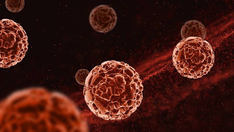 Investigadores israelíes desarrollan una nueva estrategia que detecta mejor las células cancerosas agresivas