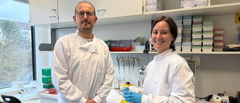 Científicos descubren que la vitamina B2 podría ayudar a sobrevivir a células cancerígenas